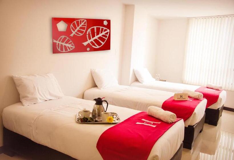 标准三人间, Olimpia