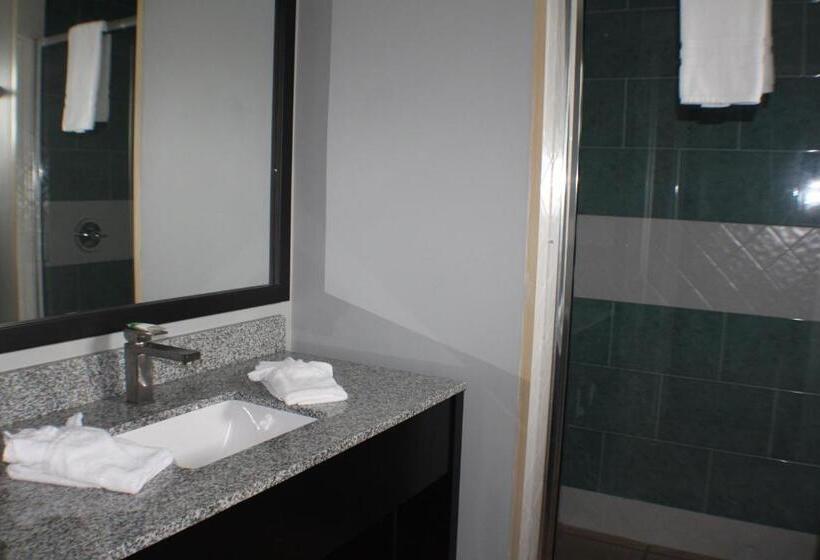 اتاق لوکس خانوادگی, The All New Grace Bay Suites