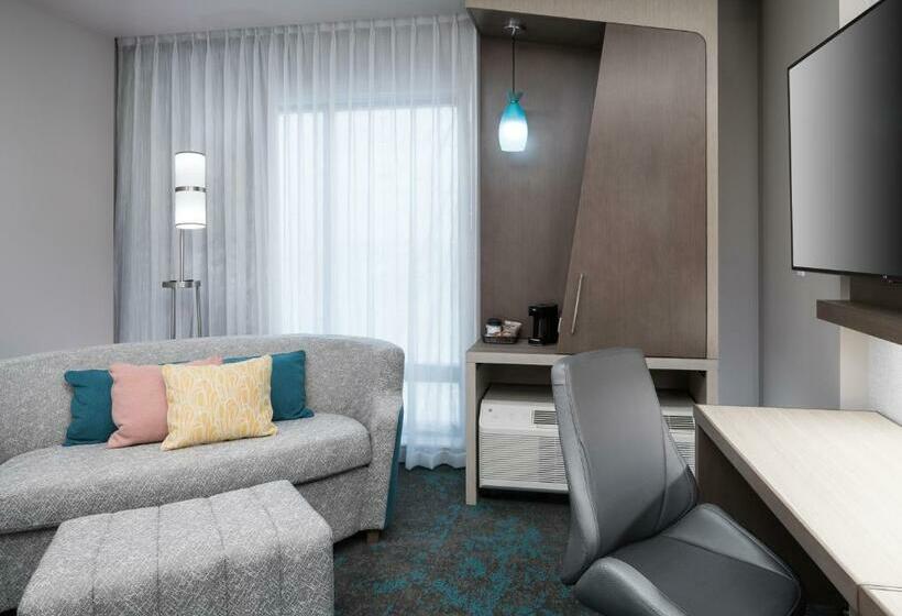 스탠다드 룸 킹사이즈 침대, Courtyard By Marriott Houston Heights/i10