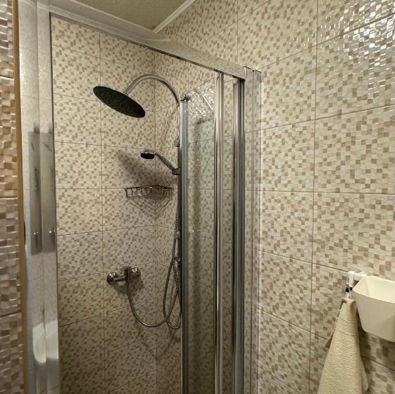 家庭工作室, Constantin Panzió