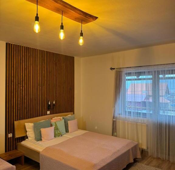 家庭工作室, Constantin Panzió