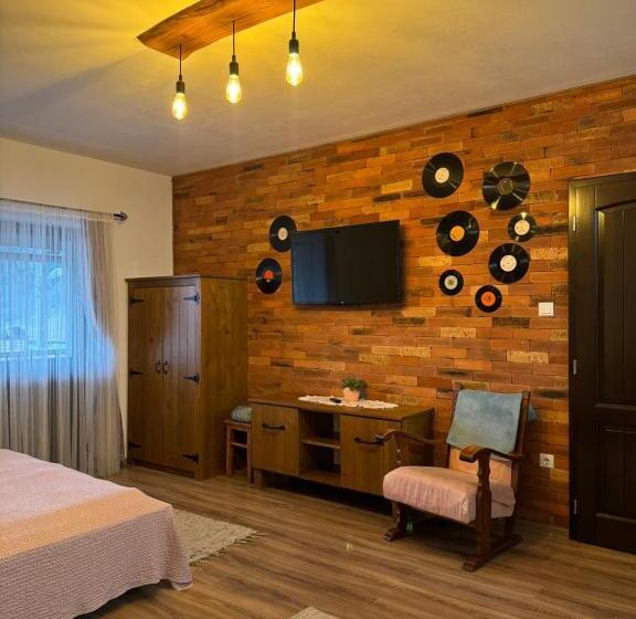 家庭工作室, Constantin Panzió