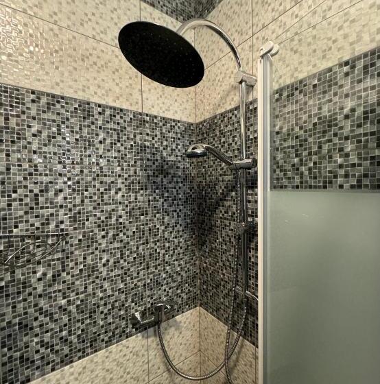 家庭间, Constantin Panzió