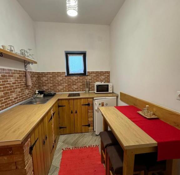 家庭间, Constantin Panzió