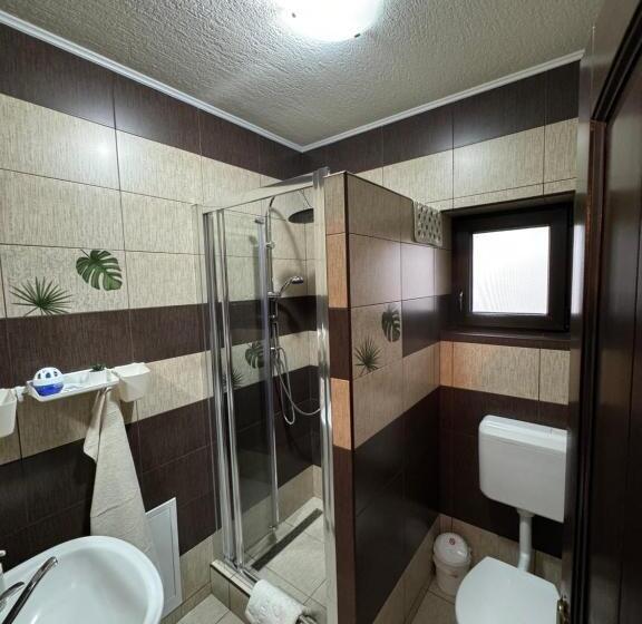 标准工作室, Constantin Panzió