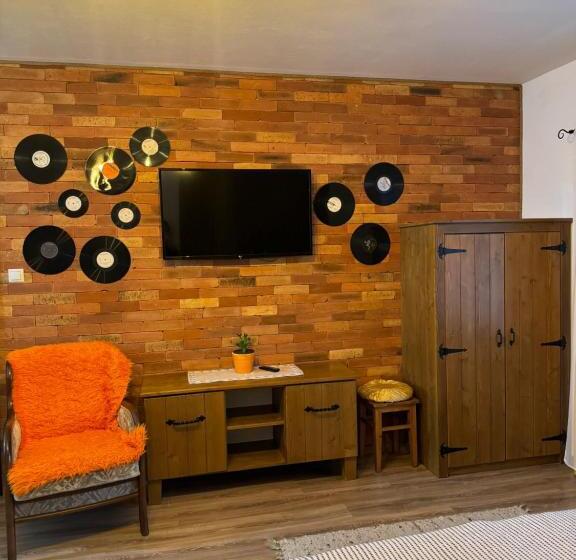 标准工作室, Constantin Panzió