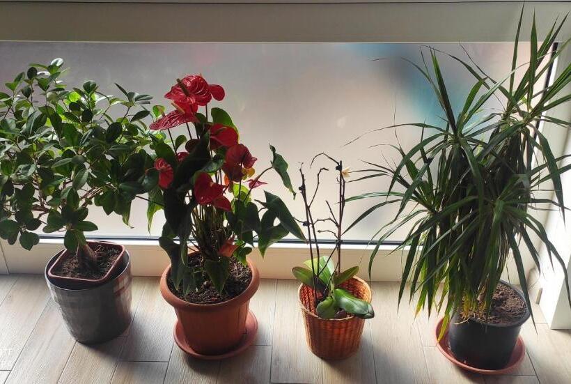 חדר סטנדרט מותאם לאדם עם מוגבלויות, Il Labirinto