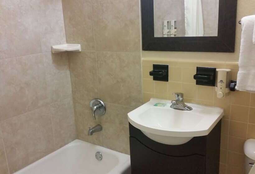 غرفه قياسيه سريرين مزدوجين, American Inn Of Daytona