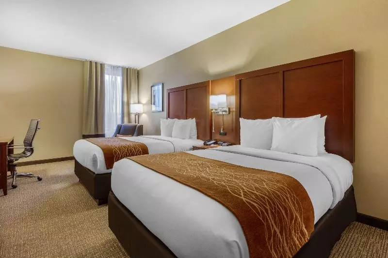 اتاق استاندارد با تخت بزرگ, Baymont By Wyndham Harrisburg
