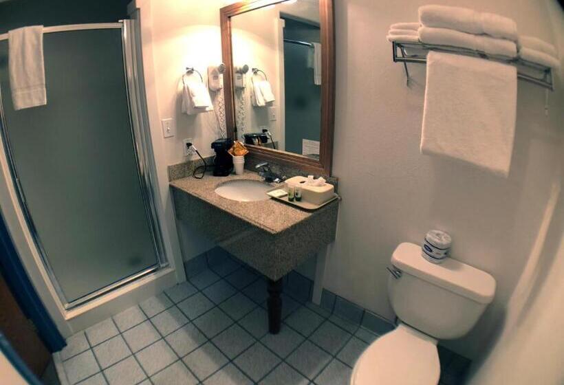 غرفة قياسية سرير كينج, Bumbleberry Inn