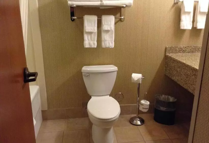 اتاق استاندارد با تخت بزرگ, Canal Park Lodge