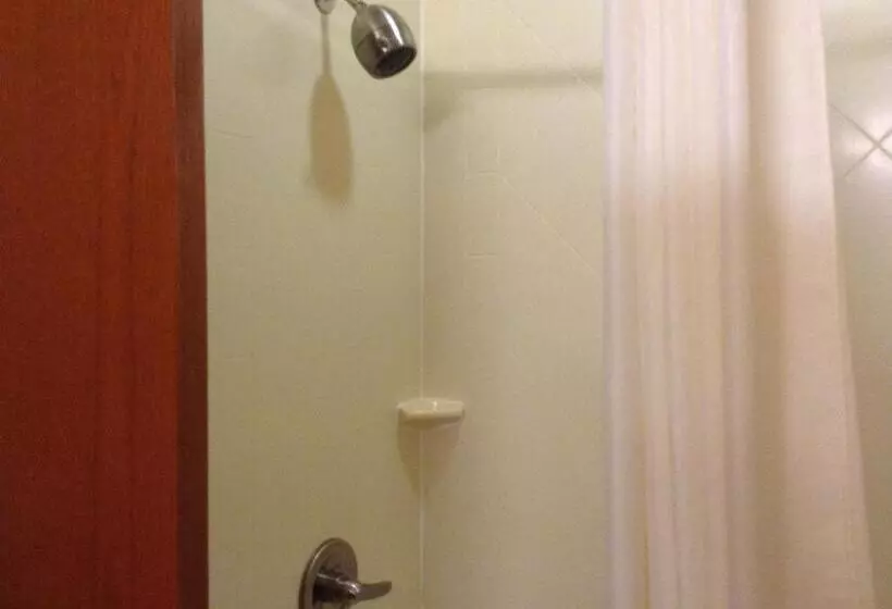 اتاق استاندارد با چشم‌انداز دریاچه, Canal Park Lodge