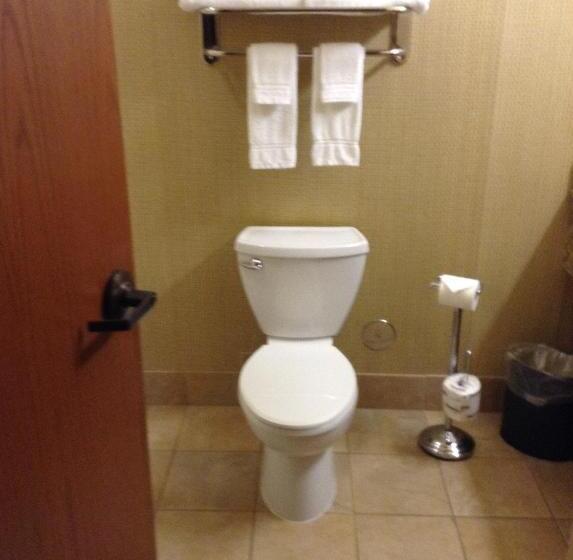 غرفة قياسية مطلّة علي البحيرة, Canal Park Lodge