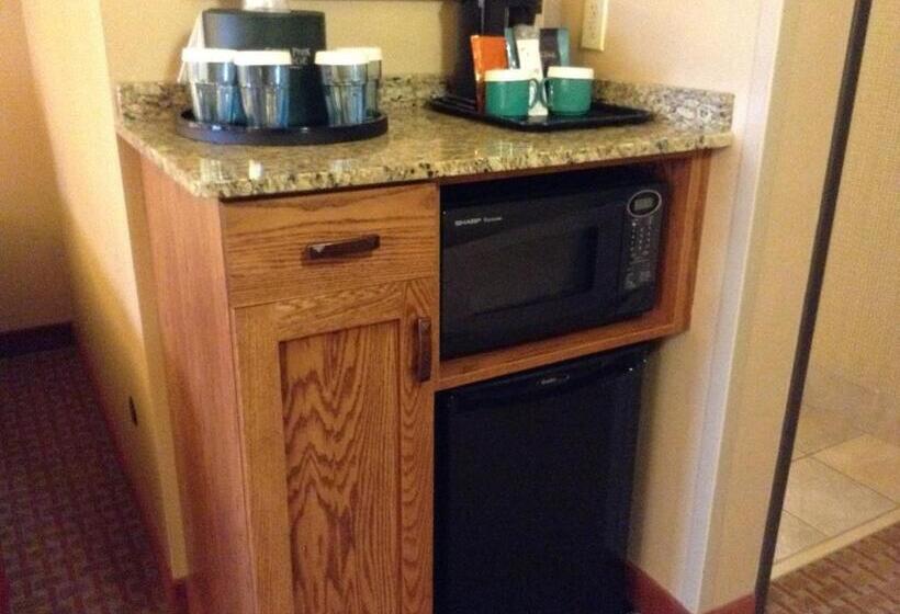 غرفة قياسية مطلّة علي البحيرة, Canal Park Lodge