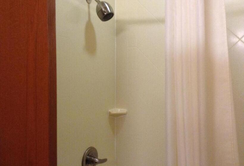 غرفة قياسية مطلة على المدينة, Canal Park Lodge