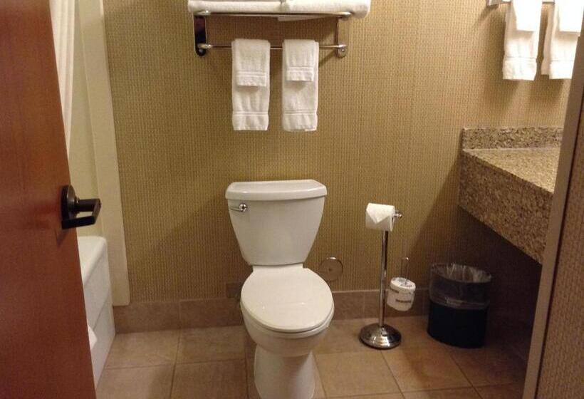 غرفة قياسية سرير كينج, Canal Park Lodge