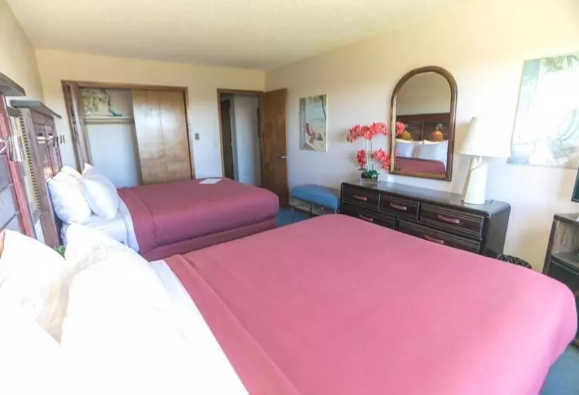 スイート, Canterbury Inn