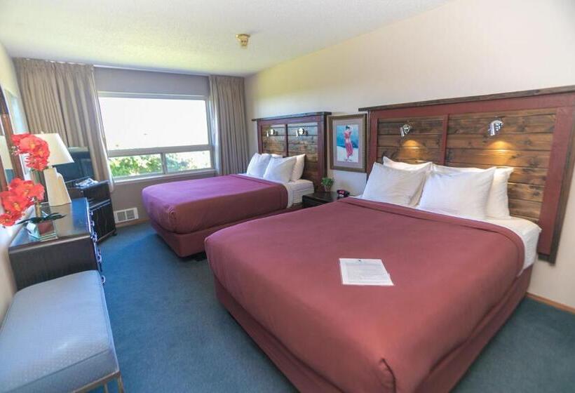 جناح, Canterbury Inn