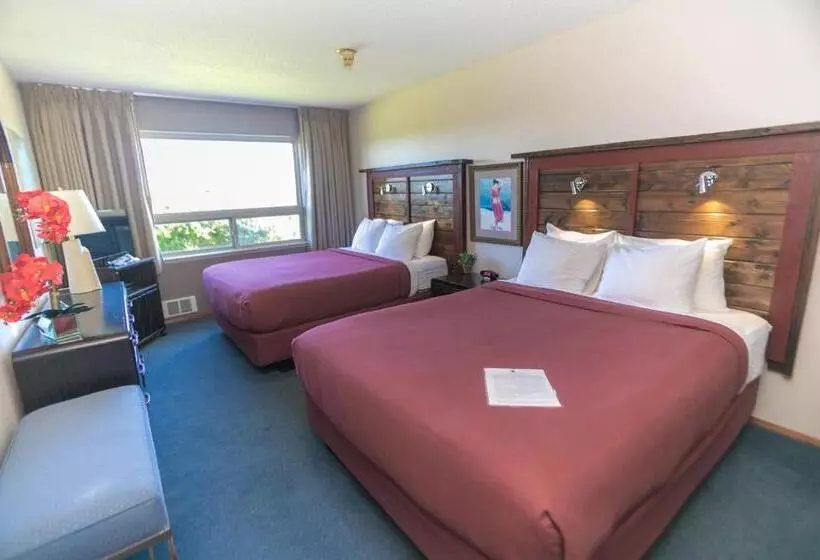 スイート, Canterbury Inn