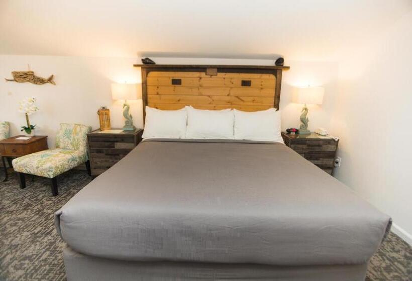 غرفة قياسية سرير كينج, Canterbury Inn