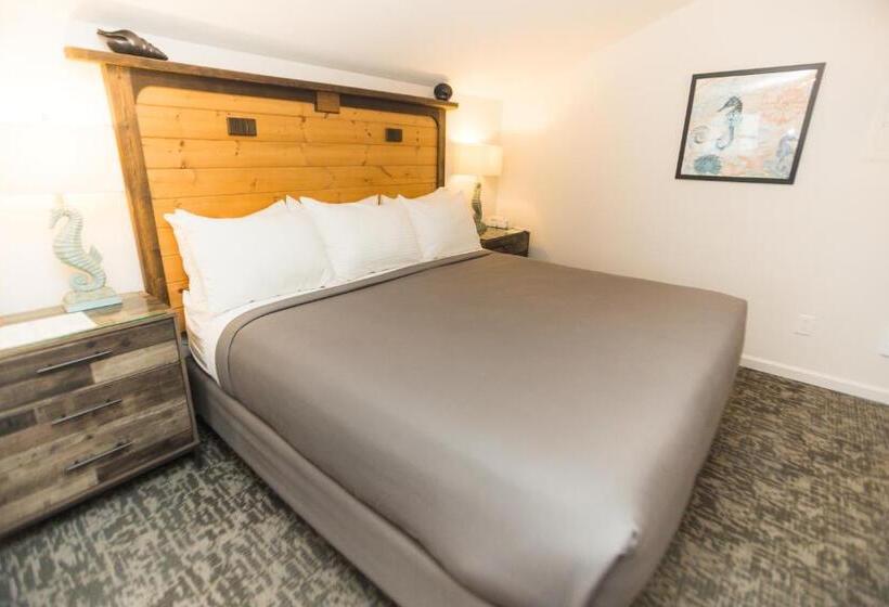 غرفة قياسية سرير كينج, Canterbury Inn