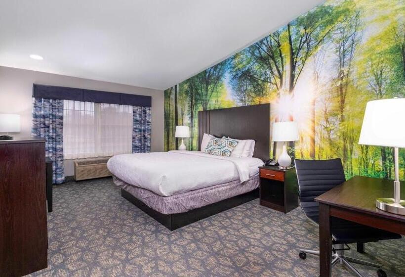 غرفة قياسية سرير كينج, Casco Bay Inn