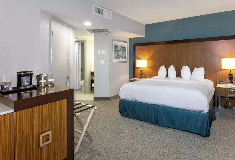 ダブルベッドのスタンダードスタジオ, Doubletree By Hilton Hotel Jacksonville Airport