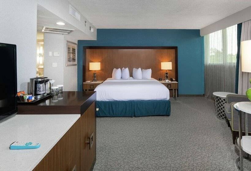 스탠다드 스튜디오 더블 침대, Doubletree By Hilton Hotel Jacksonville Airport