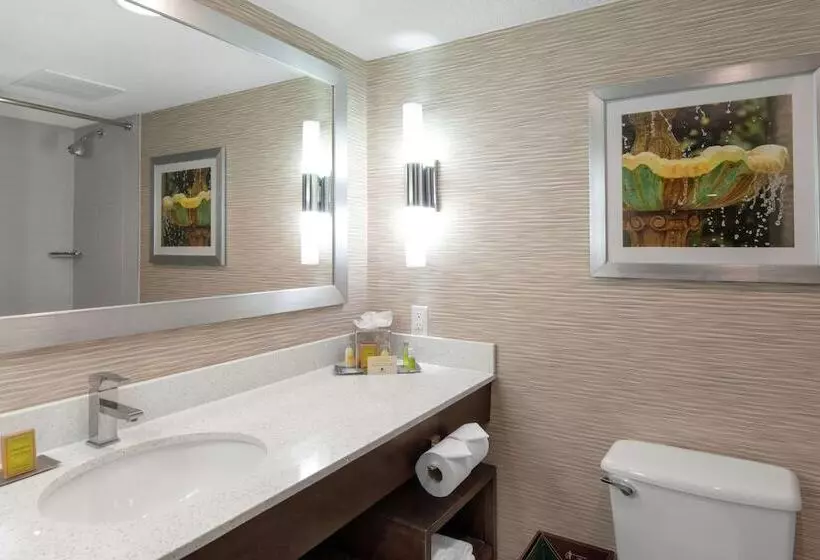 キングサイズベッドのデラックススイート, Doubletree By Hilton Hotel Jacksonville Airport