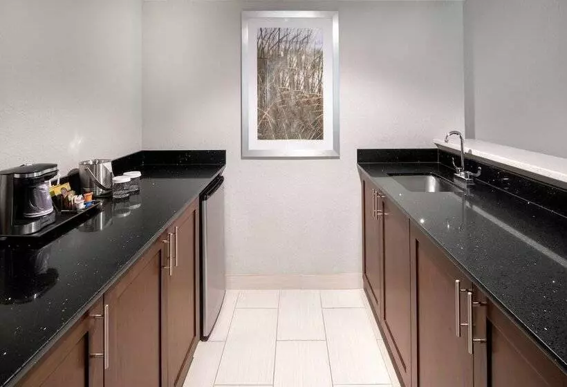 キングサイズベッドのデラックススイート, Doubletree By Hilton Hotel Jacksonville Airport