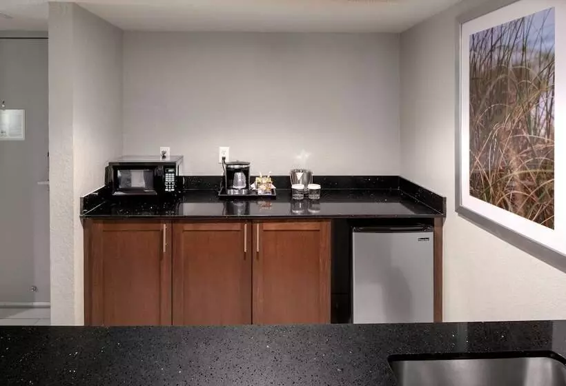 キングサイズベッドのデラックススイート, Doubletree By Hilton Hotel Jacksonville Airport
