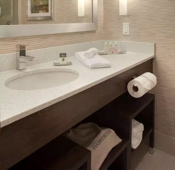 キングサイズベッドのデラックススイート, Doubletree By Hilton Hotel Jacksonville Airport