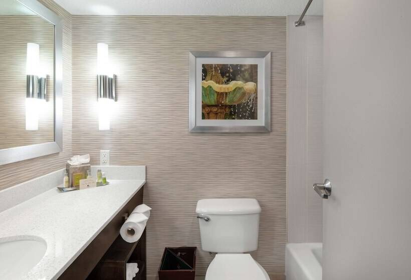 디럭스 스위트 킹 침대, Doubletree By Hilton Hotel Jacksonville Airport