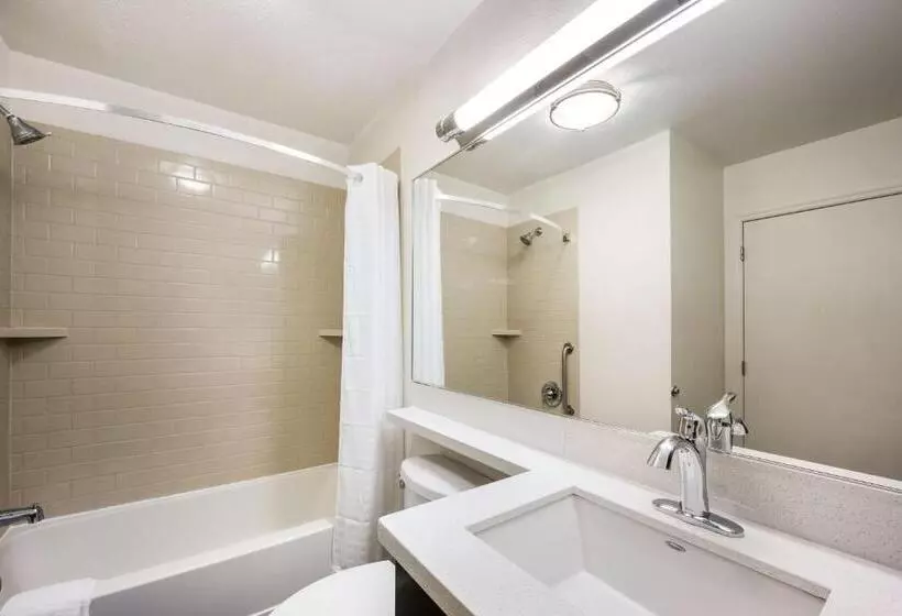 Suite Queen Bed, Sonesta Simply Suites Houston – Nasa Clear Lake