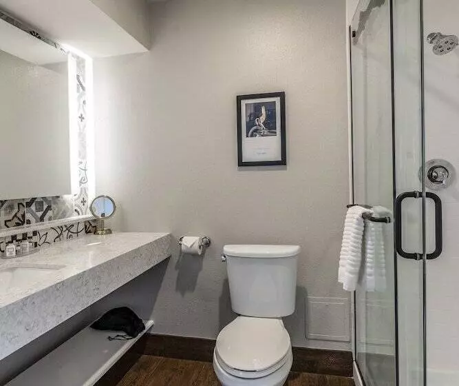 Standard-huone King-vuode, St Charles Coach House, Ascend Hotel Collection