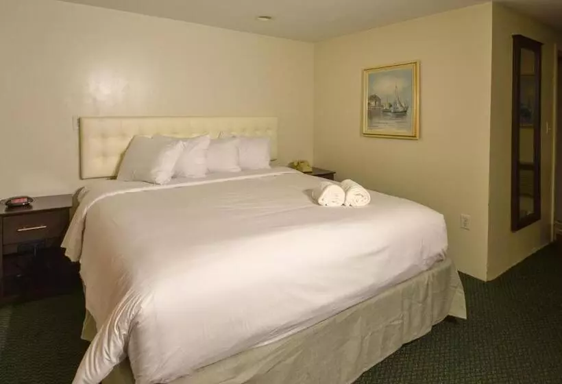 身障者適用キングサイズベッドルーム, Cape Sands Inn