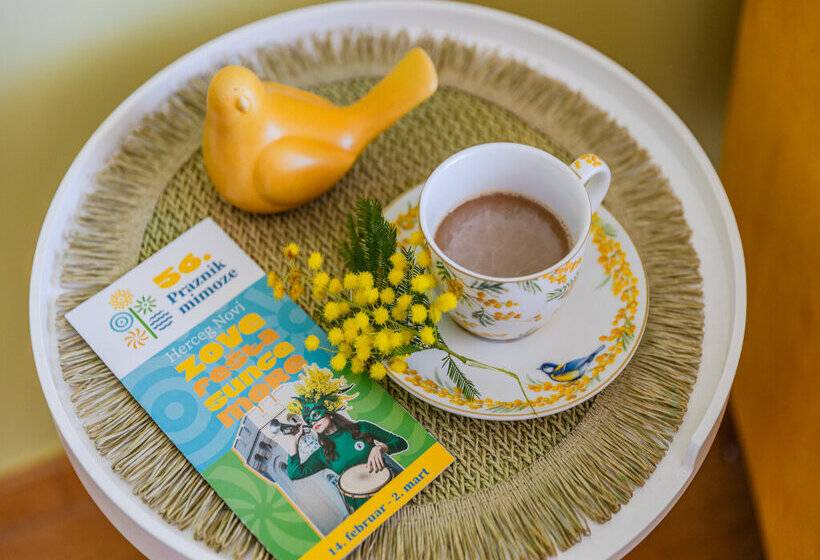 آپارتمان 1 خوابه, Apart Hotel Ms Katunjanin