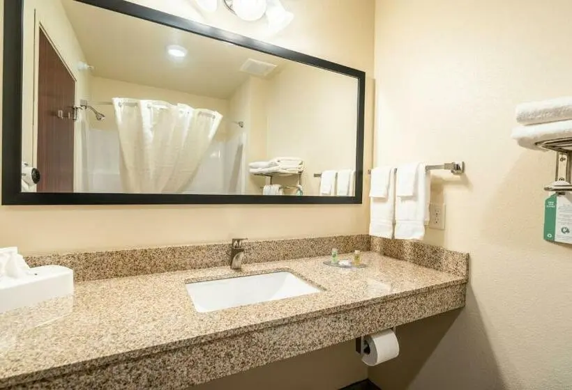 身障者適用キングサイズベッドルーム, Cobblestone Inn & Suites  Kermit