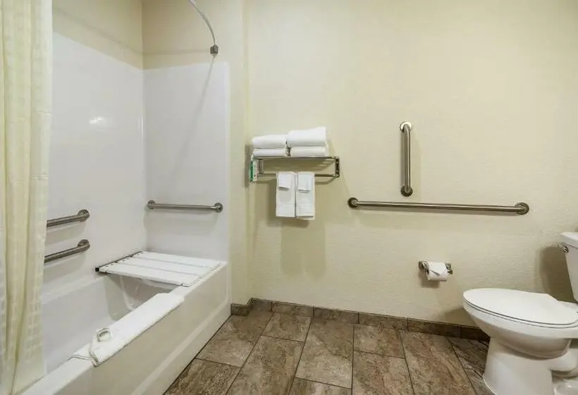 身障者適用スタンダードルーム, Cobblestone Inn & Suites  Kermit