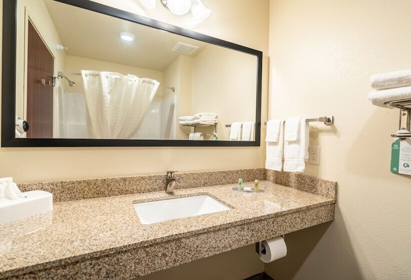 标准工作室, Cobblestone Inn & Suites  Kermit