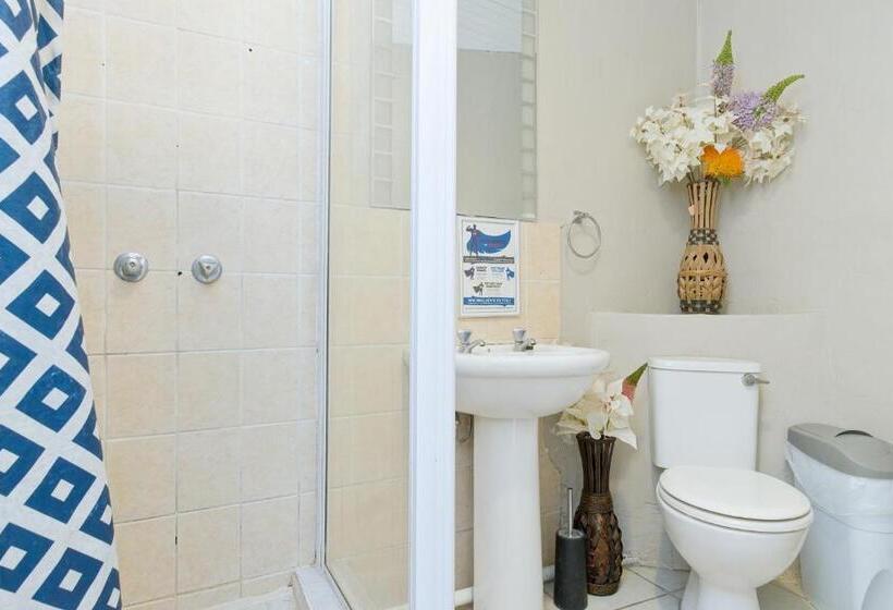 Дом 4 Спальни, Royal Palms Guest House