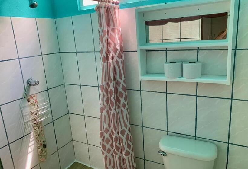 Номер Стандарт, Woodstock Hostel
