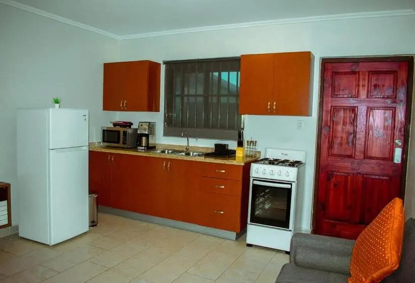 آپارتمان 1 خوابه, Aruba Smart Apartments