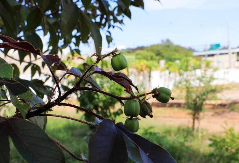 스탠다드 룸, Pousada Da Lapa