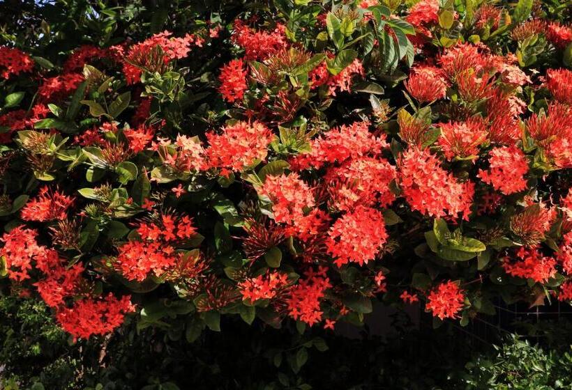 클래식 4인 룸, Pousada Da Lapa