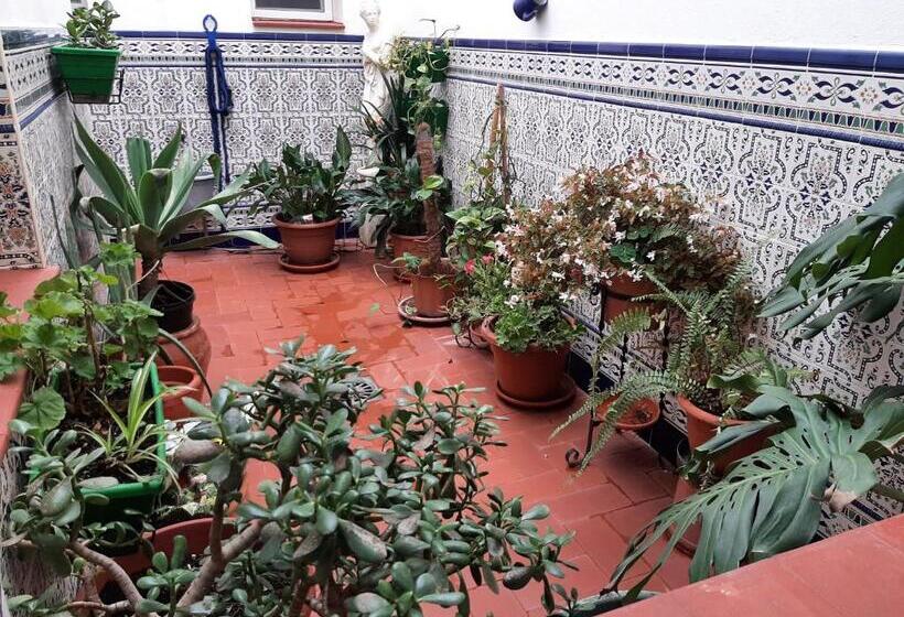 חדר סטנדרט מותאם לאדם עם מוגבלויות, Sotel Valle Guadiaro