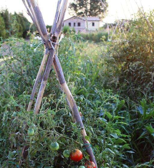 آپارتمان 2 خوابه, Agriturismo Terralieta