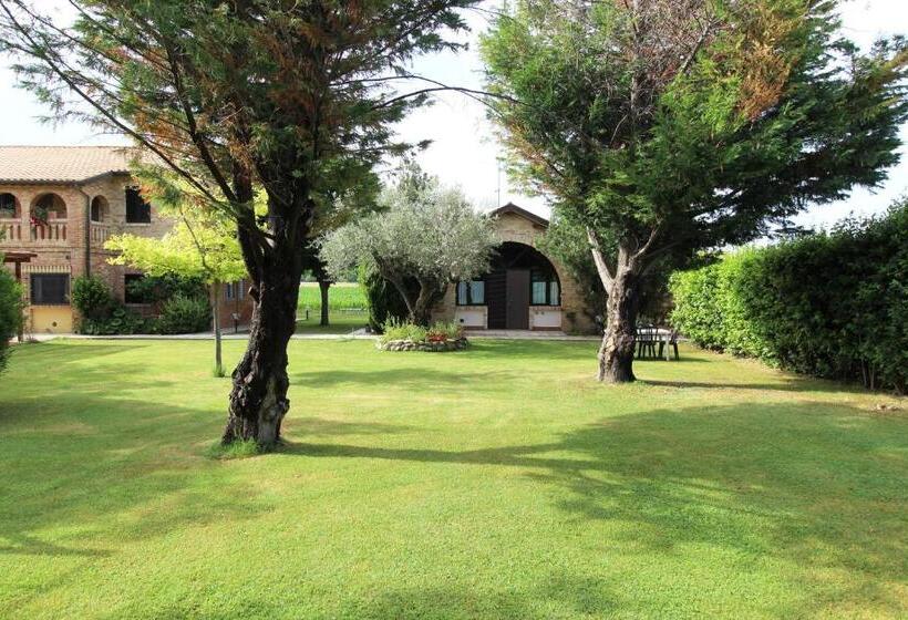 Апартаменты 3 Спальни, Agriturismo Terralieta