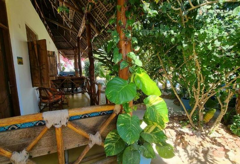 סטודיו משפחתי, Salama & Mbuyuni Bungalows