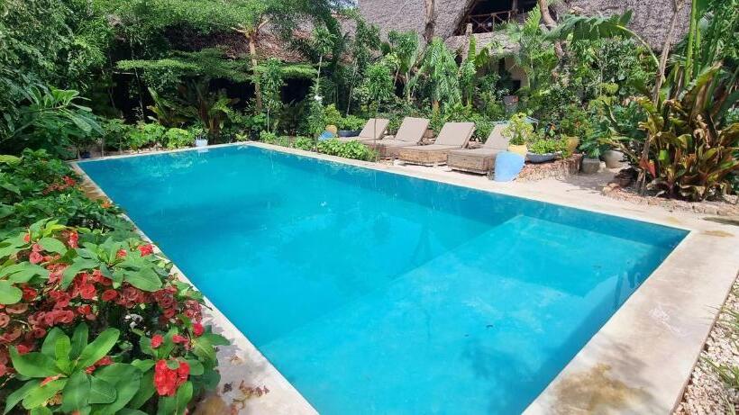 סטודיו משפחתי, Salama & Mbuyuni Bungalows